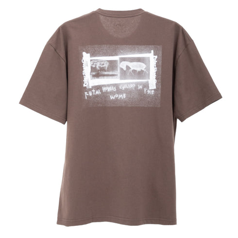 Polar Skate Co. Beautiful Horses Tee Chocolate POLTEE-BHORSES Degli Uberti