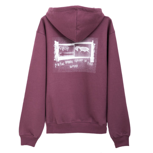 Polar Skate Co. Dave Hoodie Beautiful Horses Black POLDAVEHBH Degli Uberti